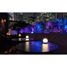 Outdoor Projector Light
