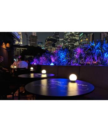 Outdoor Projector Light
