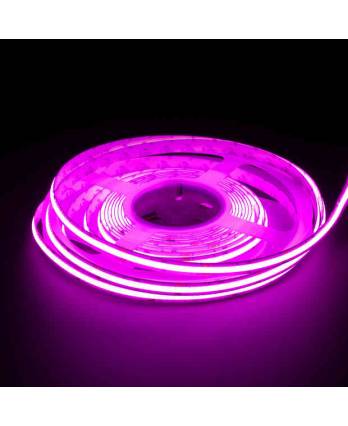 Indoor Lighting